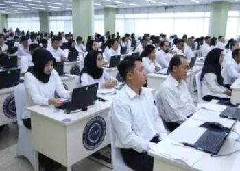 71 Ribu Tenaga Honorer Jadi Prioritas di PPPK, Seleksi Tahap II Tentukan Nasib Akhir