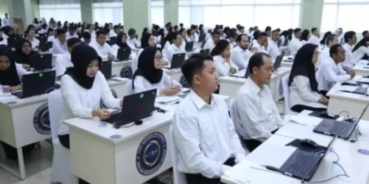 71 Ribu Tenaga Honorer Jadi Prioritas di PPPK, Seleksi Tahap II Tentukan Nasib Akhir