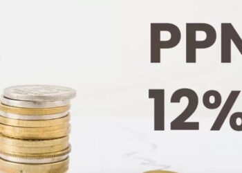 Barang dan Jasa yang Bebas PPN di Tengah Kenaikan Tarif 2025, Simak Daftarnya