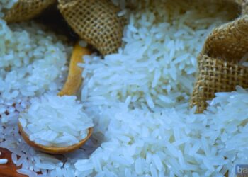 Beras Premium Masuk Daftar Barang Kena PPN 12 Persen, Bapanas Jelaskan Alasan di Baliknya