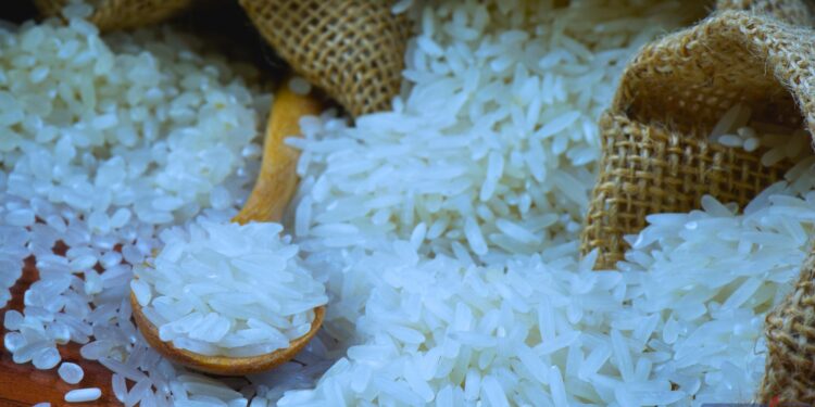 Beras Premium Masuk Daftar Barang Kena PPN 12 Persen, Bapanas Jelaskan Alasan di Baliknya