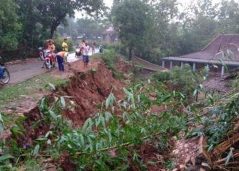 Hujan Deras dan Angin Kencang di Wonogiri Sebabkan Pohon Tumbang