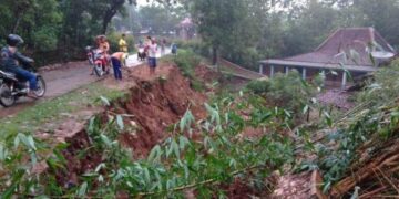Hujan Deras dan Angin Kencang di Wonogiri Sebabkan Pohon Tumbang