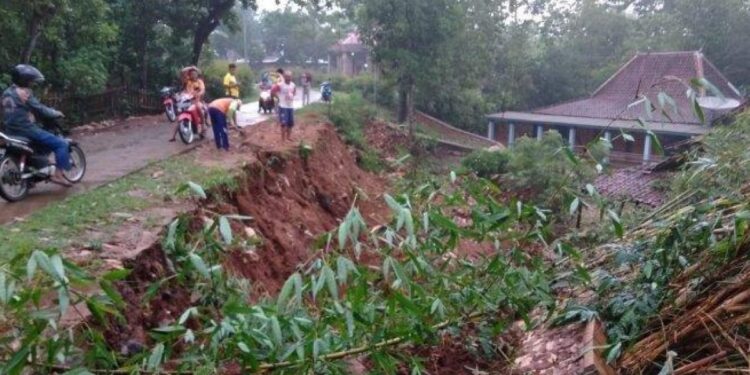 Hujan Deras dan Angin Kencang di Wonogiri Sebabkan Pohon Tumbang