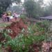 Hujan Deras dan Angin Kencang di Wonogiri Sebabkan Pohon Tumbang