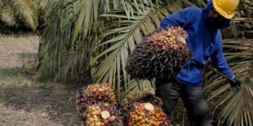 Kenaikan UMK Mukomuko 2025 Rp 3 Juta, FSPMI Kritik Tak Dibahasnya UMSK Sawit