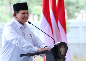 Presiden Prabowo Dinilai Bisa Batalkan PPN 12 Persen untuk Atasi Lesunya Ekonomi