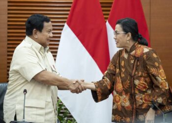 PPN 12 Persen Berlaku untuk Barang Mewah, Ini Klarifikasi Lengkap Presiden Prabowo dan Sri Mulyani