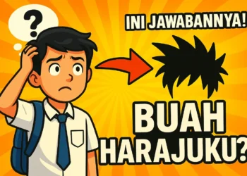 Buah Harajuku MPLS