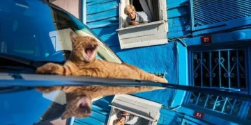 Pengumuman pemenang The Edge Street Photography Awards 2026