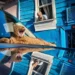 Pengumuman pemenang The Edge Street Photography Awards 2026